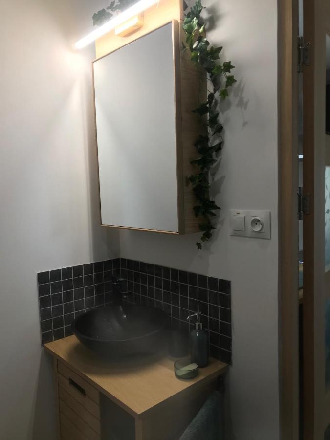 La Brindille Petit Mas Provencal Meuble De Tourisme 3 Etoiles 2-3 Personnes 1 Piece 30 M2 Tout Confort Lisiere Foret Jardin Jacuzzi Piscine Saint-Paul-en-Forêt Dış mekan fotoğraf
