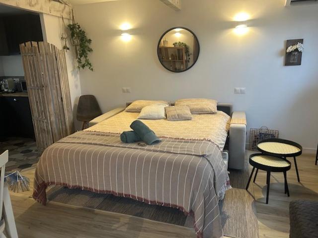 La Brindille Petit Mas Provencal Meuble De Tourisme 3 Etoiles 2-3 Personnes 1 Piece 30 M2 Tout Confort Lisiere Foret Jardin Jacuzzi Piscine Saint-Paul-en-Forêt Dış mekan fotoğraf