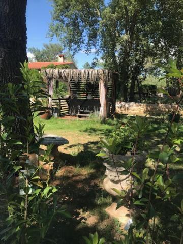 La Brindille Petit Mas Provencal Meuble De Tourisme 3 Etoiles 2-3 Personnes 1 Piece 30 M2 Tout Confort Lisiere Foret Jardin Jacuzzi Piscine Saint-Paul-en-Forêt Dış mekan fotoğraf